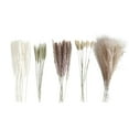thumbnail image 1 of VogueV Small Dried Pampas Grass Bouquet, Natural Reed for Boho Vase Filler, Wedding Centerpiece & Home Office Shelf, Fluffy Zero-Maintenance, 1Xbouquet, 1 of 8