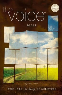 Pre-Owned Voice Bible-VC: Step Into the Story of Scripture (Paperback) 1401678491 9781401678494