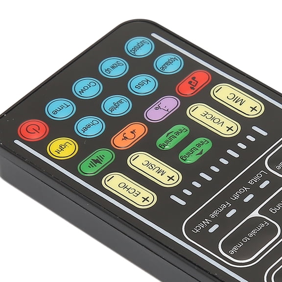 Voice Changer with 8 Sound Modes PC Material, USB Charging for Voice Effects and Entertainment