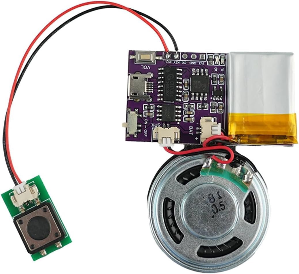 Voice Module,MP3 Sound Chips, 16MB Sound Module for Crafts, Christmas ...