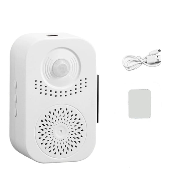 Voice Recording With Detection And USB Charging Functionality