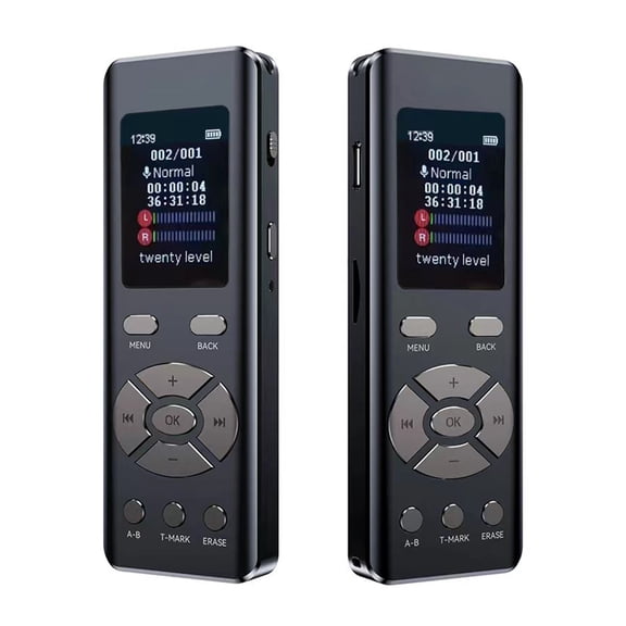 Voice recorder,A-b Loop Mp3 Reduction Voice With Voice With A-b Noise Reduction Voice Stereo Audio With Type-c Usb2.0 Stereo 2-channel Type-c Usb2.0 With A-b Loop Mewmewcat Dsfen Rookin Buzhi