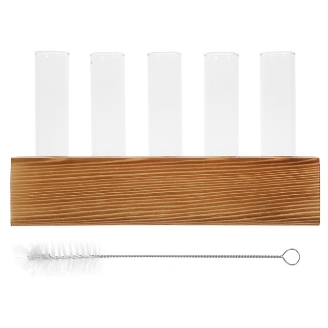 Voiceine 1 Set of Hydroponic Vase Plant Terrarium Clear Propagation