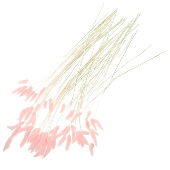 Voiceine 120pcs Natural Dried Rabbit Tail Grass Dried Grass Stems Bunny Tails Grass for Home Decoration