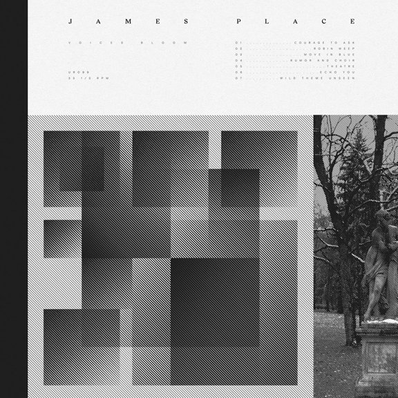 Voices Bloom (LP)