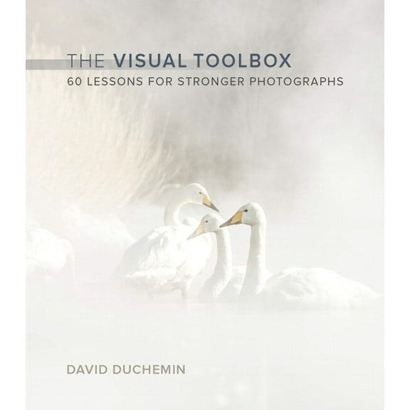 Voices That Matter The Visual Toolbox: 60 Lessons for Stronger Photographs, (Paperback)