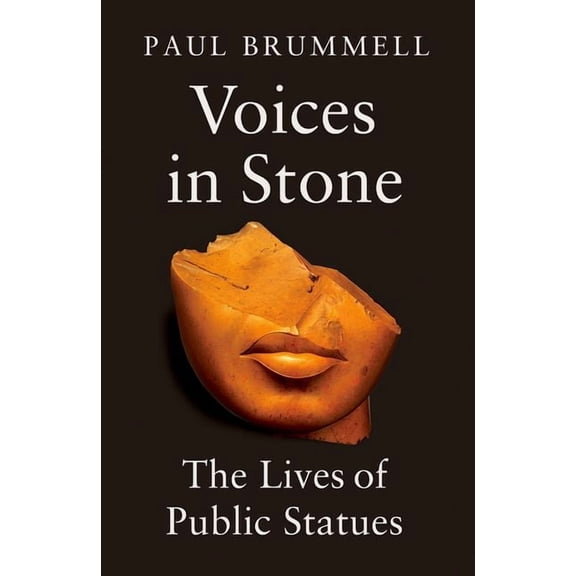 Voices in Stone: The Lives of Public Statues, (Hardcover)