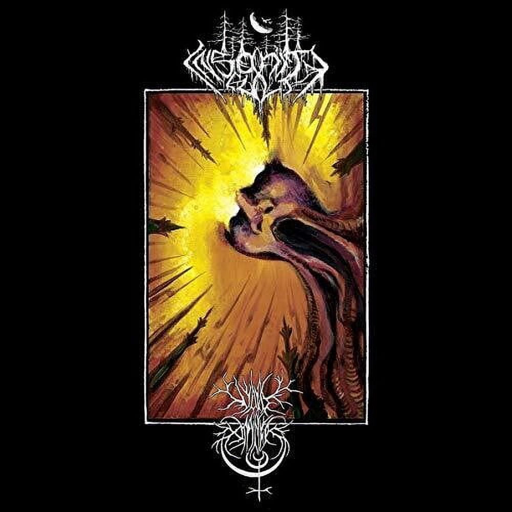 Void Omnia / Insanity Cult - Split - Music & Performance - Vinyl