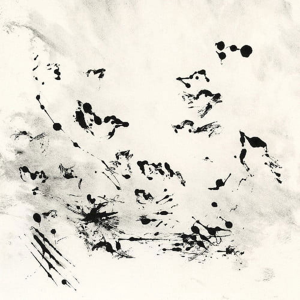 Neov - Volant - Music & Performance - Vinyl