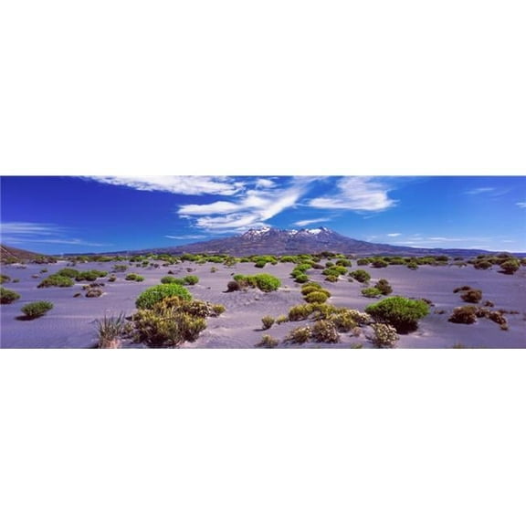 Volcanic Landscape Rangipo Desert Tongariro National Park Ruapehu District North Island Volcanic Plateau North Island New Zealand Poster Print - 36 x 12