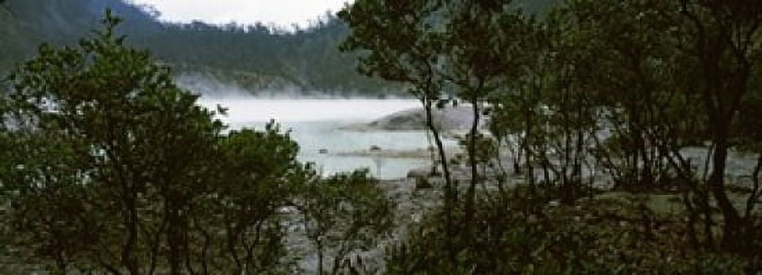 Volcanic lake in a forest Kawah Putih West Java Indonesia Canvas Art - Panoramic Images (18 x 7)