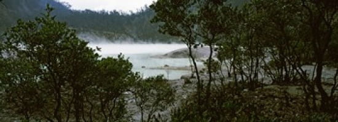 Volcanic lake in a forest Kawah Putih West Java Indonesia Canvas Art - Panoramic Images (36 x 13)