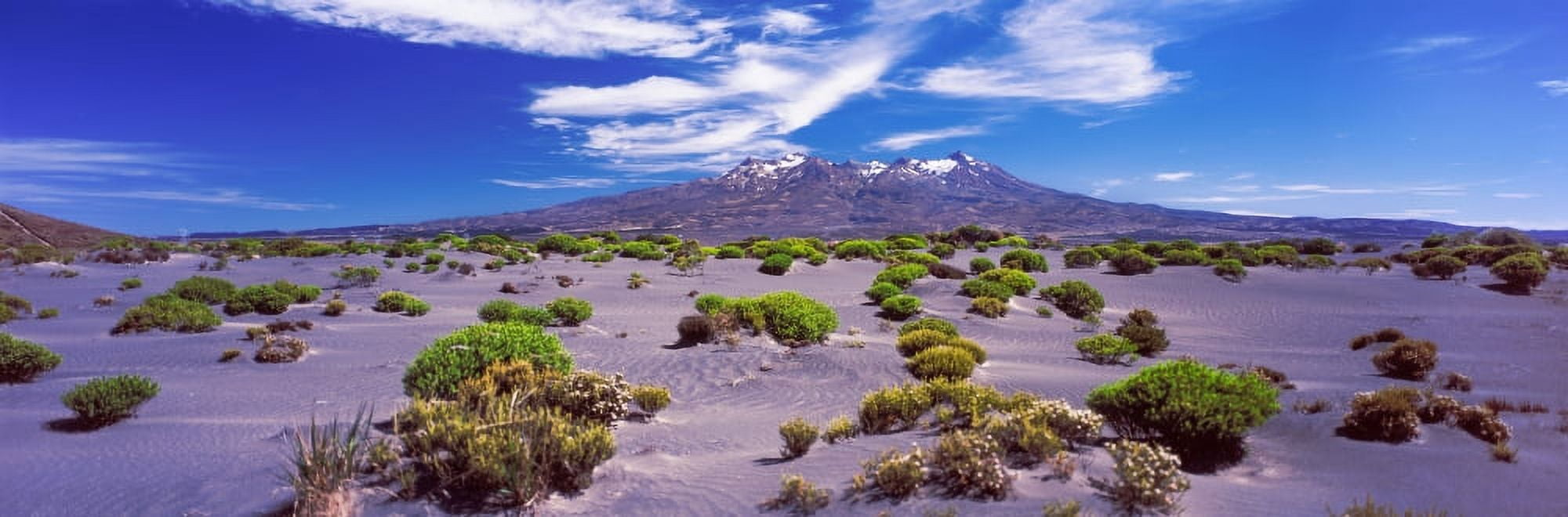 Volcanic landscape Rangipo Desert Tongariro National Park Ruapehu District North Island Volcanic Plateau North Island New Zealand Canvas Art - Panoramic Images (27 x 9)