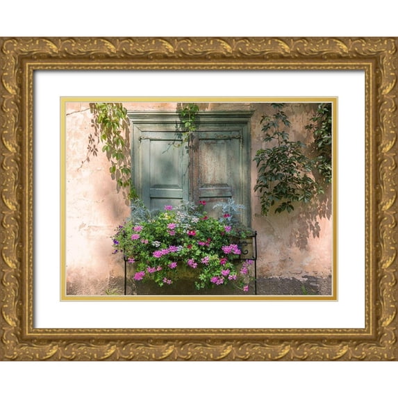 Volcjoks, Edijs 14x11 Gold Ornate Wood Framed with Double Matting Museum Art Print Titled - Retro Window and Flowers