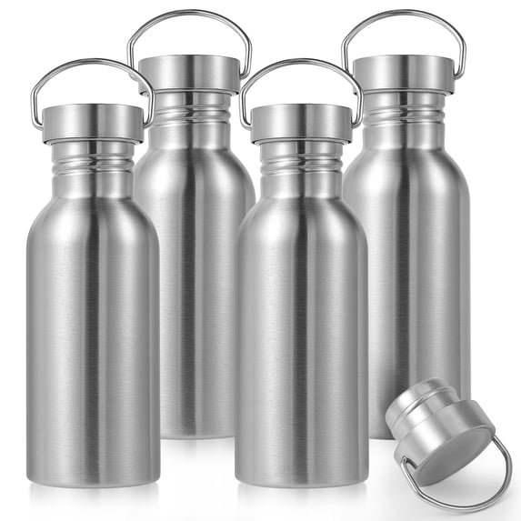 Neihepal 20oz Single Wall Stainless Steel Water Bottle with Handle, BPA Free, 4 Pack
