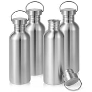 Neihepal 32oz Single Wall Stainless Steel Water Bottle with Handle, BPA Free, 4 Pack
