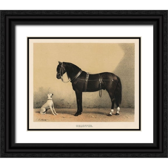 Volkers, Emil 14x12 Black Ornate Wood Framed with Double Matting Museum Art Print Titled - Orloffer (Orloff Horse)