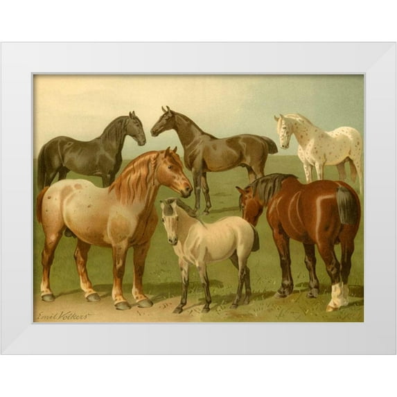Volkers, Emil 14x12 White Modern Wood Framed Museum Art Print Titled - Horse Breeds II