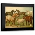 thumbnail image 1 of Volkers, Emil 24x19 Black Modern Framed Museum Art Print Titled - Horse Breeds II, 1 of 5