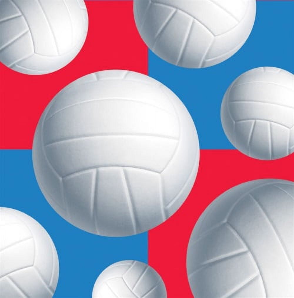 Volleyball Beverage Napkins (16ct)