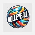 thumbnail image 1 of Volleyball Transfer, 1 of 1