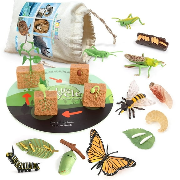 Volnau Animal Figurines Toys 16PCS Life Cycle Plant Butterfly Animal Figures for Preschool Education