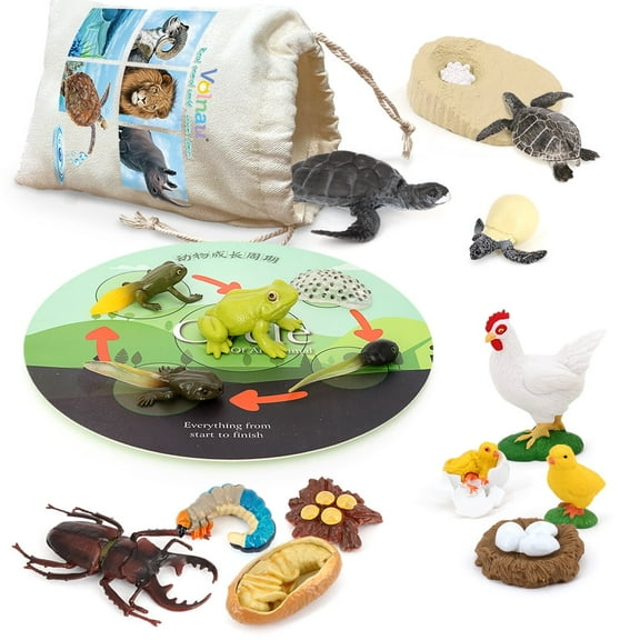 Volnau Animal Figurines Toys 17PCS Life Cycle Figure Set Sea Turtle Frog Chicken Preschool Education