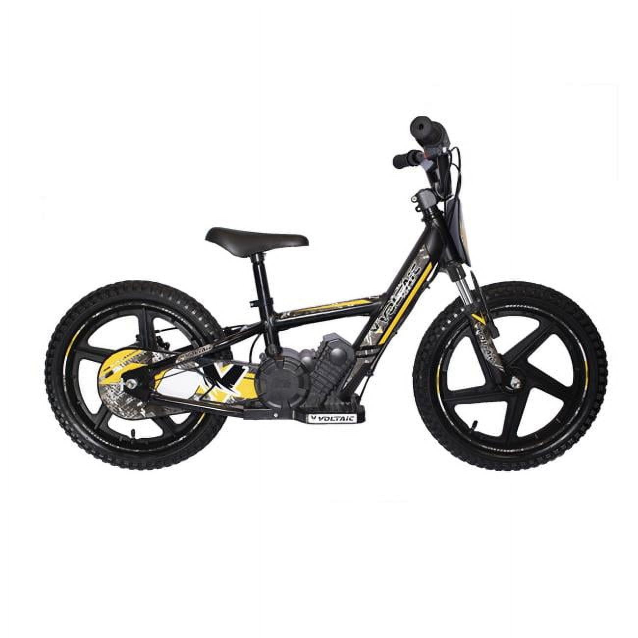 Voltaic 16 in. Lion Pro Kids Electric Dirt Bike