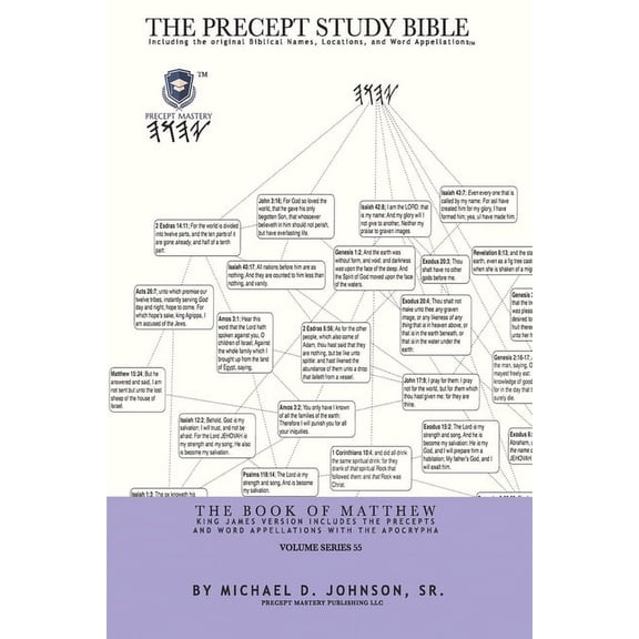 Volume 1: The Book of Matthew (Paperback)