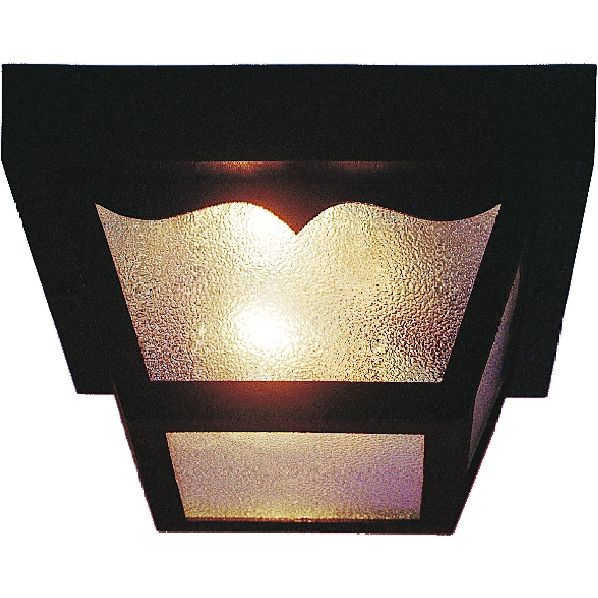 Black Polycarbonate and Glass Outdoor Flush Mount Light