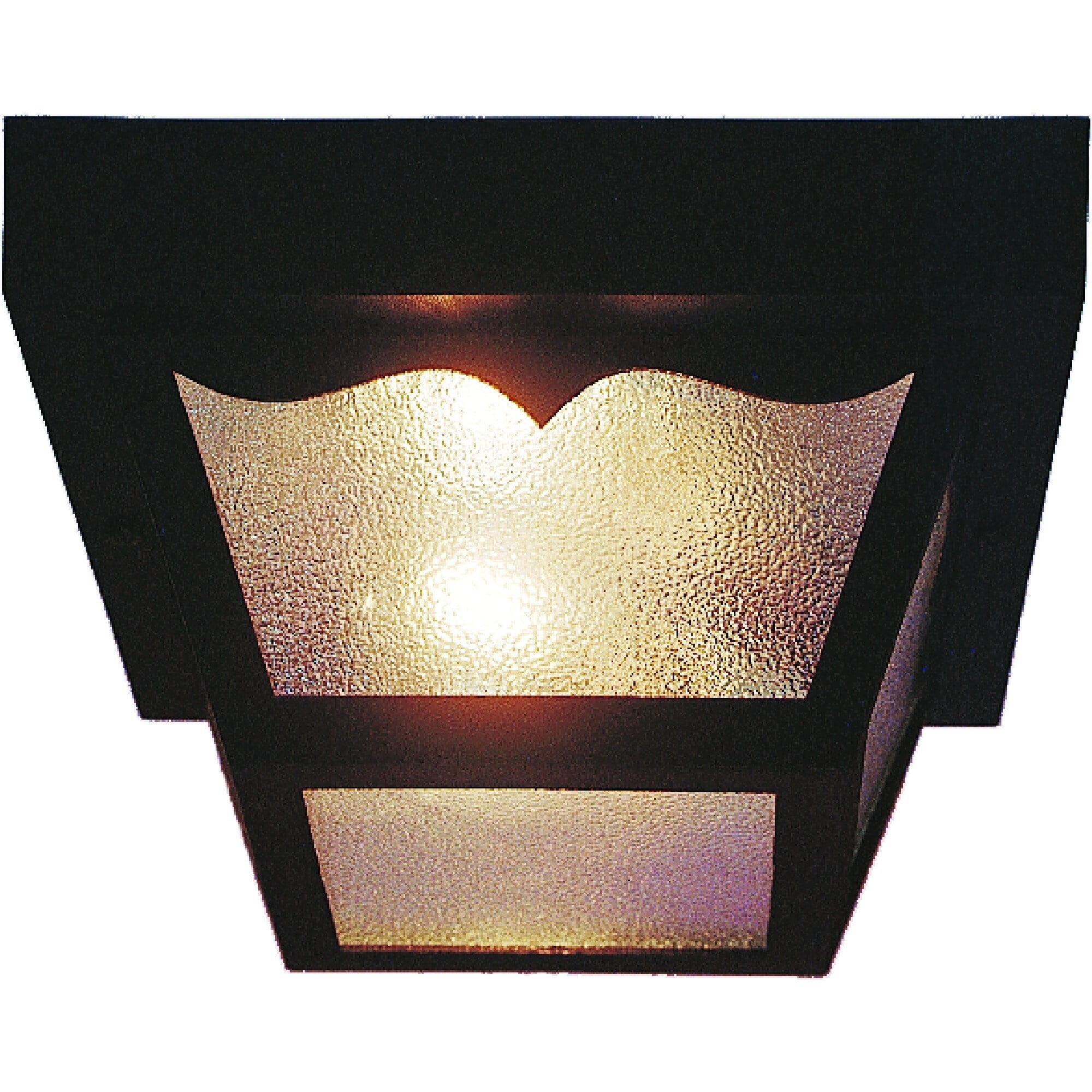Black Polycarbonate and Glass Outdoor Flush Mount Light