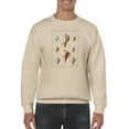 thumbnail image 1 of Volute Shells. Sweatshirt Men -Denis Diderot Designs, Male Small, 1 of 4