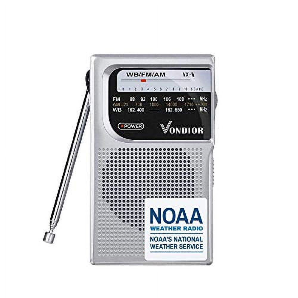 Panasonic RF-2400 AM/FM AC/DC Portable Radio - Walmart.com