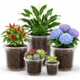 Pot Making Transparent Vontix Clear Nursery Pots with Drainage Holes, 8/6/5/4/3.5 Inch 20 Pack ...