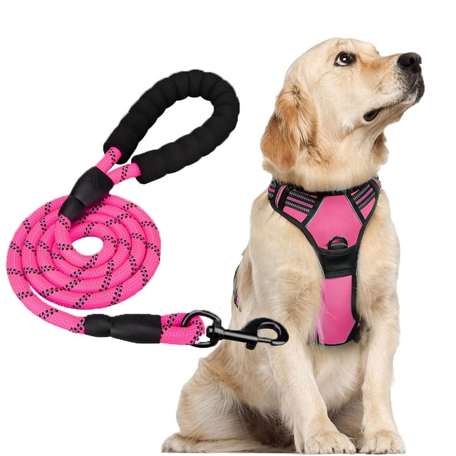 Vonzuda Dog Harness and Leash Combo, No Pull Dog Harness Adjustable