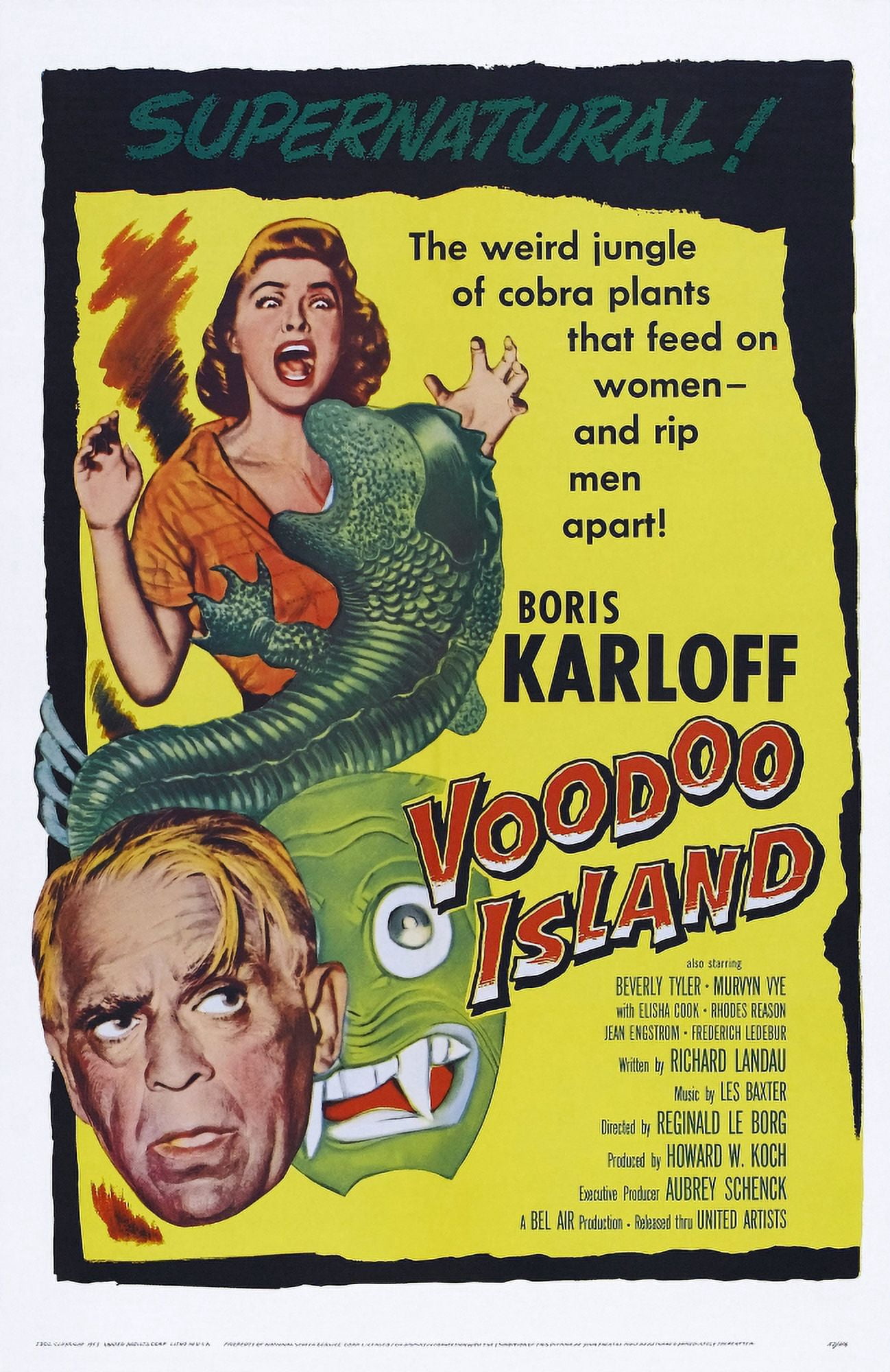Voodoo Island U Canvas Art - (11 x 17)