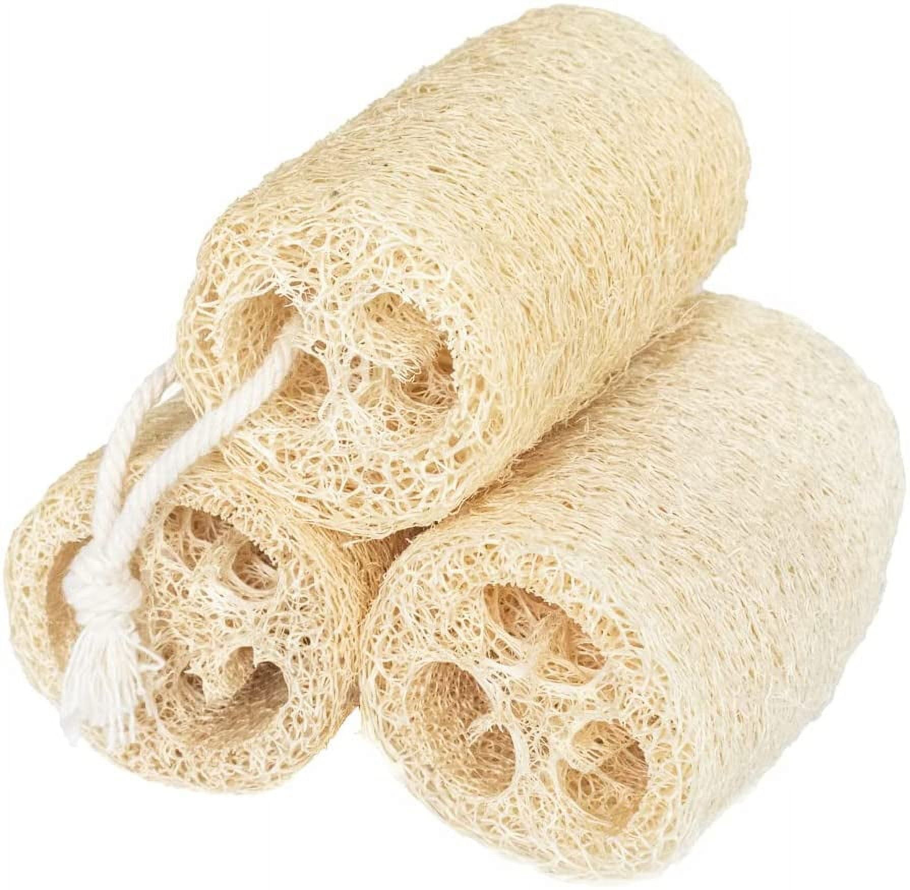 Natural Luffa Sponge — GOLDEN FORREST