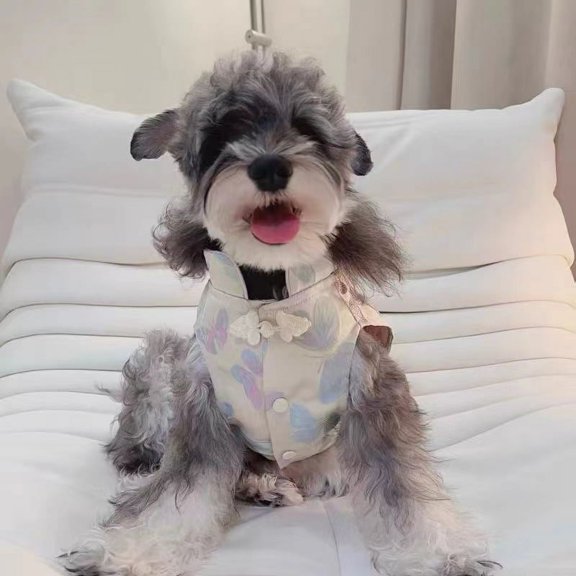 Vorkoi Adorable Pet Clothes for Cats & Small Dogs - Charming Spring & Autumn Wear