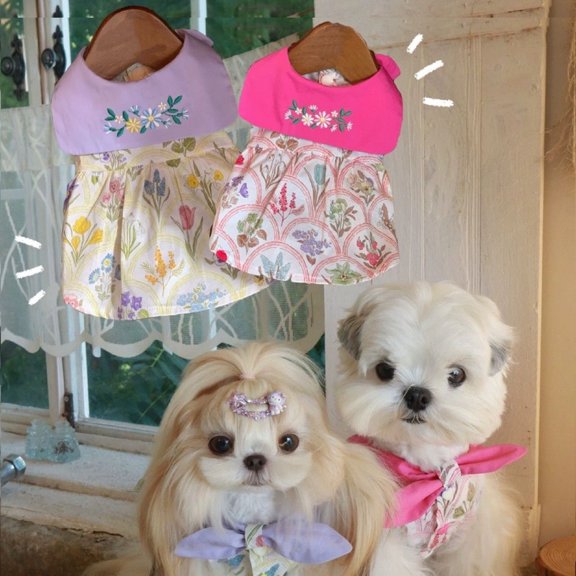 Vorkoi Adorable Pet Clothes for Cats & Small Dogs - Charming Spring & Autumn Wear