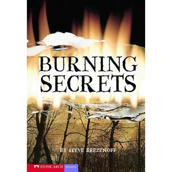 Pre-Owned Burning Secrets (Vortex Books), 9781598898545, 159889854X, Paperback, Illustrated edition