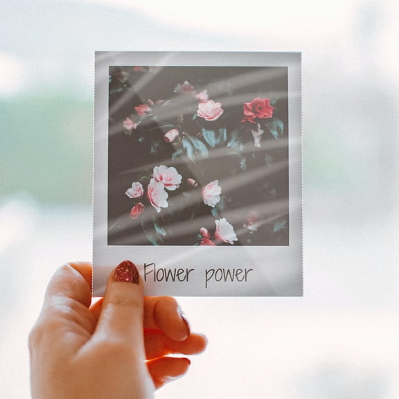 Vosarea 200Pcs White Laminating Sheets Photo Protection Cover Film Compatible with Thermal Laminators