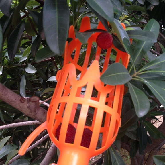Vosarea 2Pcs Labor Saving Fruit Picker Tool Orange Plastic for Bayberry Peach Plum