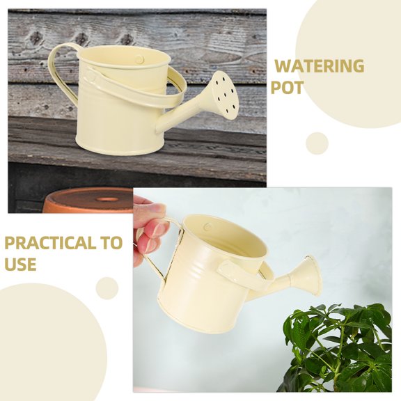 Vosarea 4Pcs Precise Water Watering Can Iron Beige for Vegetable Plants