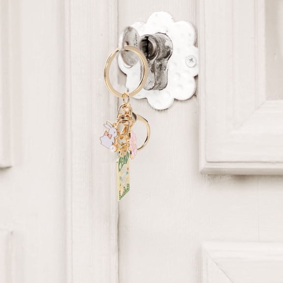 Vosarea Japanese Inspired Multi Color Alloy Purse Charm Keychain with Durable Finish and Cute Design