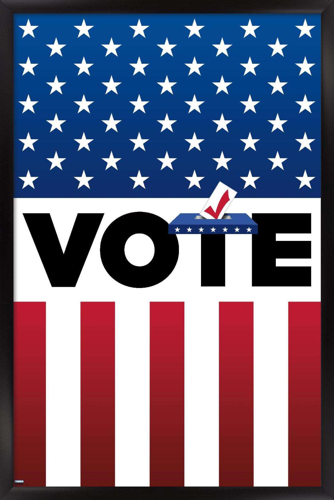 Vote Wall Poster, 14.725" x 22.375", Framed