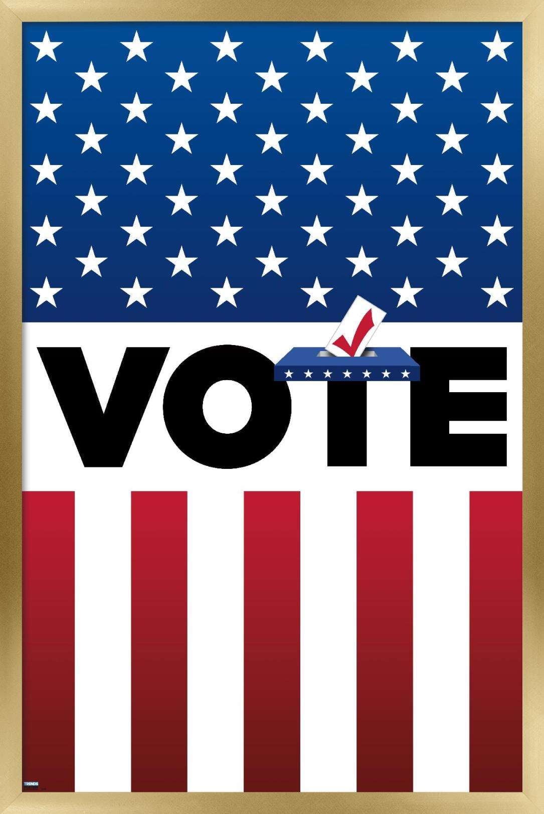 Vote Wall Poster, 22.375" x 34" Framed