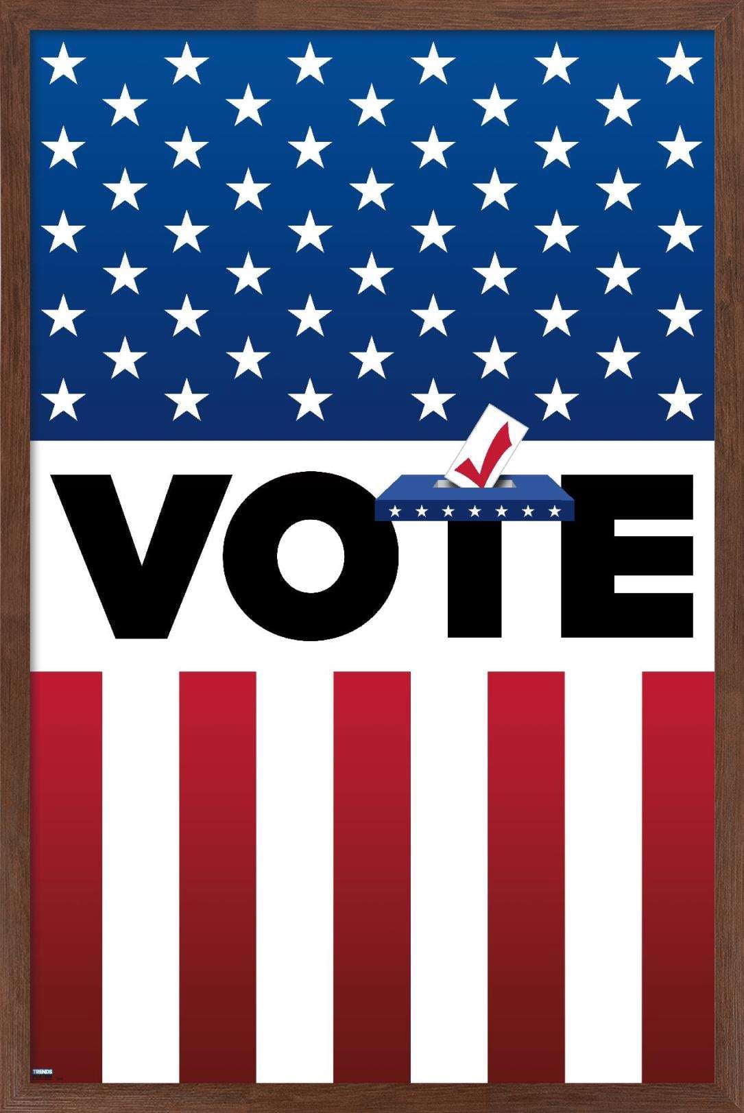 Vote Wall Poster, 22.375" x 34" Framed