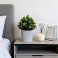 thumbnail image 1 of Votnto Potted Artificial Green Bonsai, Fake Mini Potted Plants for Office Desk, Living Room, Bathroom, Home Decor, Faux Small Potted Greenery 7.09IN, 1 of 6