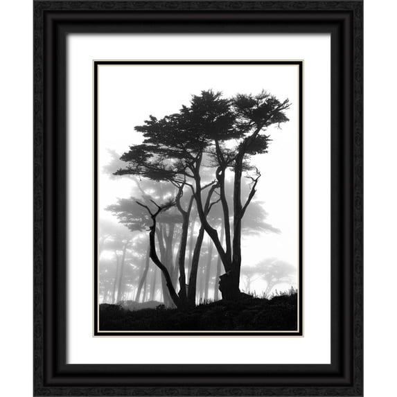 Vovsi, Samuel 12x14 Black Ornate Wood Framed with Double Matting Museum Art Print Titled - California Pines in Fog
