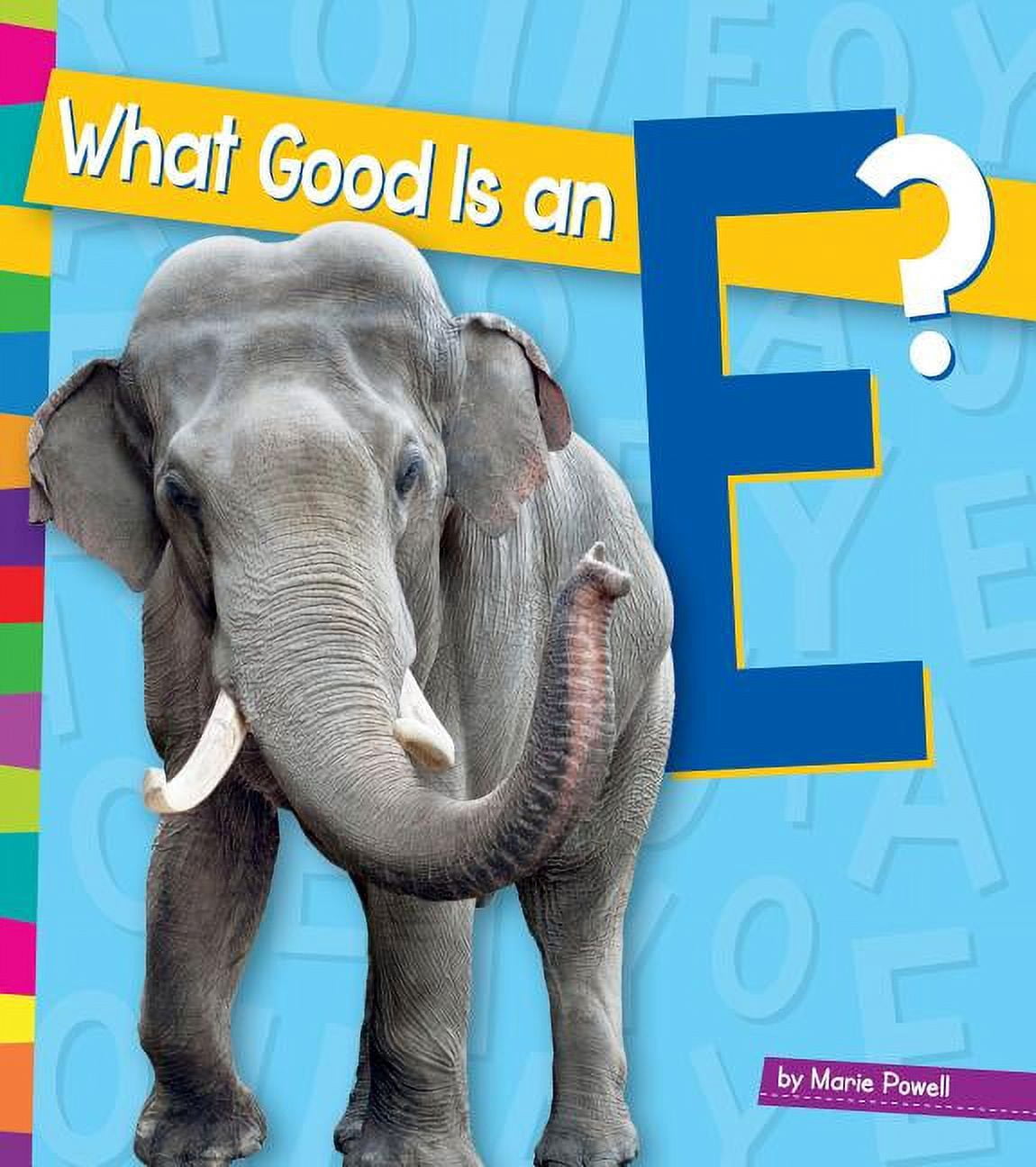 Vowels: What Good Is an E? (Hardcover) - Walmart.com